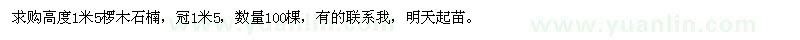 求購高度1米5欏木石楠
