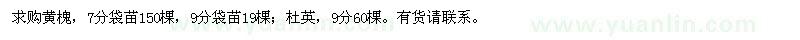 求購黃槐、杜英