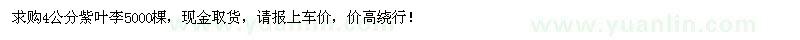 求購4公分紫葉李