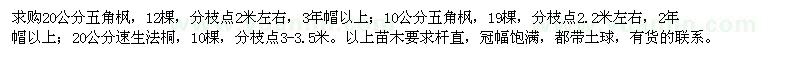 求購五角楓、速生法桐