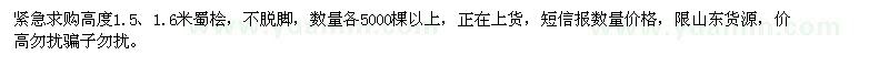 求購(gòu)高1.5、1.6米蜀檜