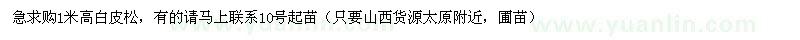 求購高1米白皮松