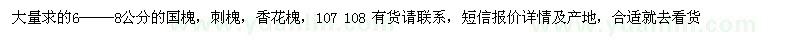 求購國槐、刺槐、香花槐