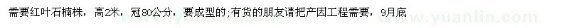 求購(gòu)高2米紅葉石楠株