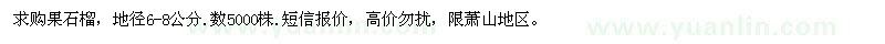 求購地徑6-8公分果石榴
