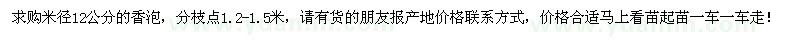 求購(gòu)米徑12公分香泡