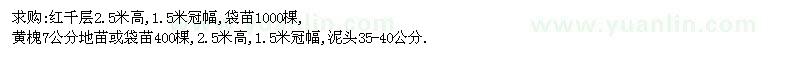 求購紅千層、黃槐