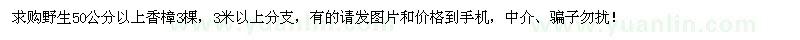求購50公分以上香樟
