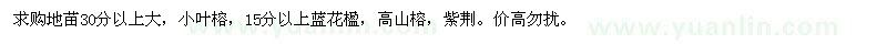 求購(gòu)15分以上高山榕、紫荊、藍(lán)花楹