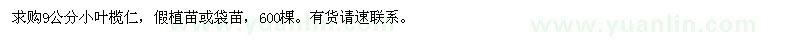 求購(gòu)9公分小葉欖仁