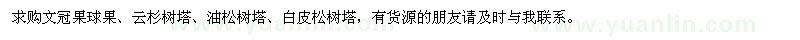 求購文冠果球果、云杉樹塔、油松樹塔、白皮松樹塔