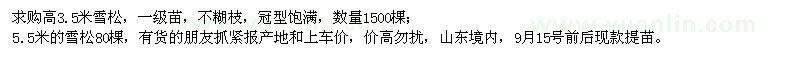 求購(gòu)高3.5、5.5米雪松