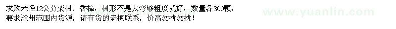 求購(gòu)米徑12公分欒樹、香樟