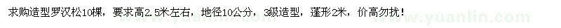 求購高2.5米左右羅漢松