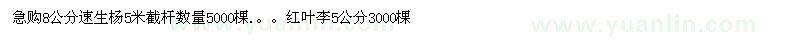 求購(gòu)速生楊、紅葉李