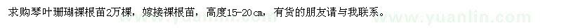 求購琴葉珊瑚裸根苗