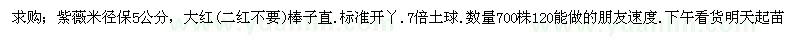 求購米徑5公分紫薇