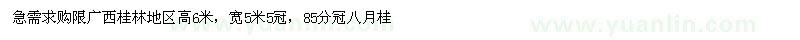 求購(gòu)高6米八月桂