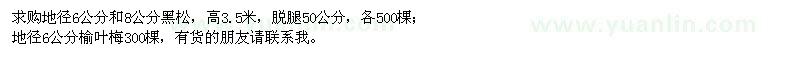 求購地徑6、8公分黑松、地徑6公分榆葉梅