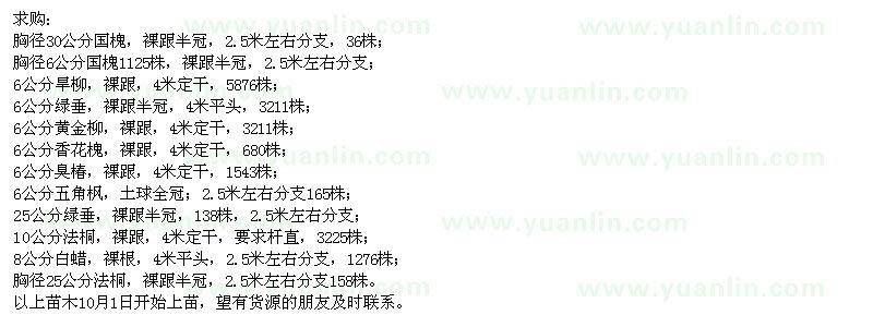 求購垂柳、國槐、黃金柳等苗木