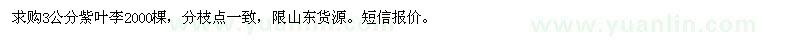 求購3公分紫葉李
