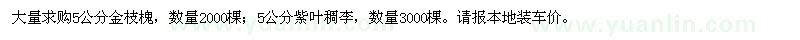求購(gòu)5公分金枝槐、紫葉稠李