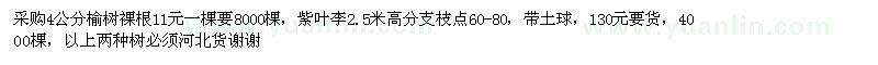 求購榆樹、紫葉李