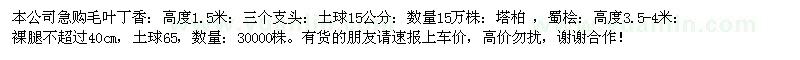 求購毛葉丁香、塔柏、蜀檜
