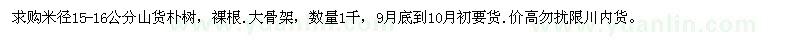 求購(gòu)米徑15-16公分樸樹(shù)