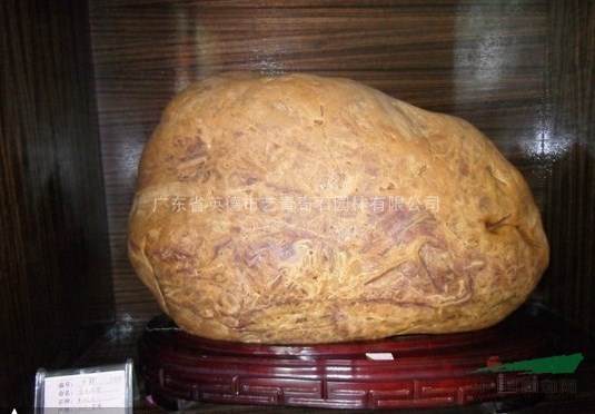 供應(yīng)精品石 觀賞石 