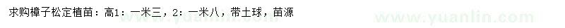 求購(gòu)高1.3、1.8米樟子松