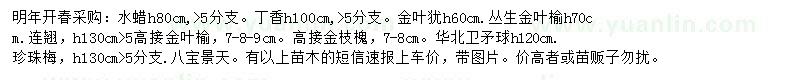 求購水蠟、丁香、金葉榆等