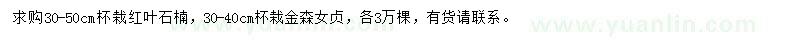 求購(gòu)30-50公分紅葉石楠、30-40公分金森女貞