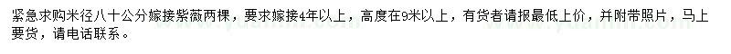 求購(gòu)米徑80公分紫薇