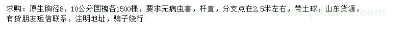 求購胸徑8、10公分國槐