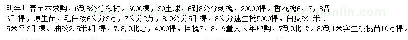求購楸樹、刺槐、香花槐等