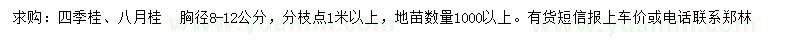 求購胸徑8-12公分四季桂、八月桂　