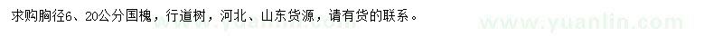 求購(gòu)胸徑6、20公分國(guó)槐