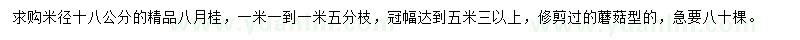 求購(gòu)米徑18公分八月桂