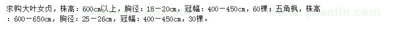 求購胸徑18-20公分大葉女貞，胸徑25-26公分五角楓