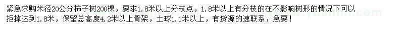 求購米徑20公分柿子樹