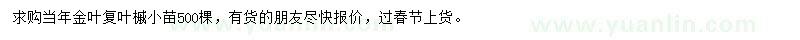 求購(gòu)金葉復(fù)葉槭小苗