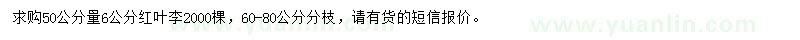 求購50公分量6公分紅葉李