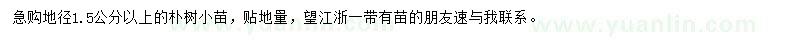 求購(gòu)地徑1.5公分以上樸樹(shù)小苗