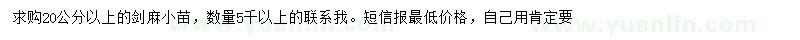 求購20公分以上劍麻小苗