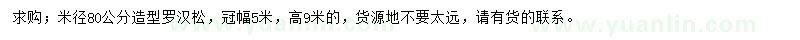 求購(gòu)米徑80公分羅漢松
