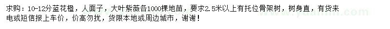 求購(gòu)藍(lán)花楹、人面子、大葉紫薇