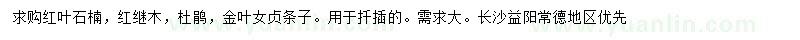 求購紅葉石楠、紅繼木、杜鵑等條子