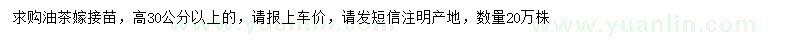 求購高30公分以上油茶嫁接苗