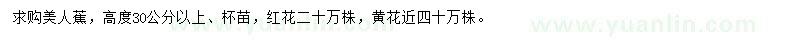 求購(gòu)高度30公分以上美人蕉杯苗